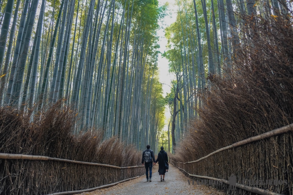 #9 De blog de viajes a empresa, con Viajeroscallejeros.com de blog de viajes a empresa